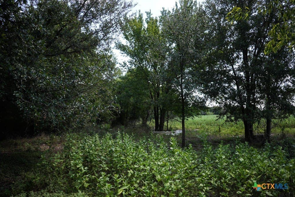 18.94 acres in Milam County - photo 23