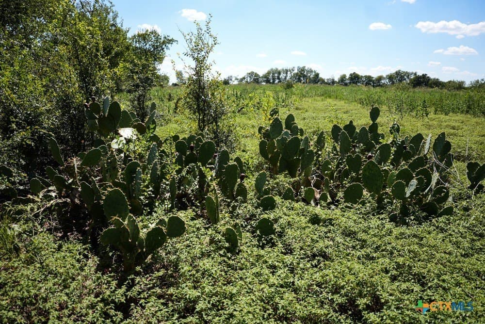 18.94 acres in Milam County - photo 17