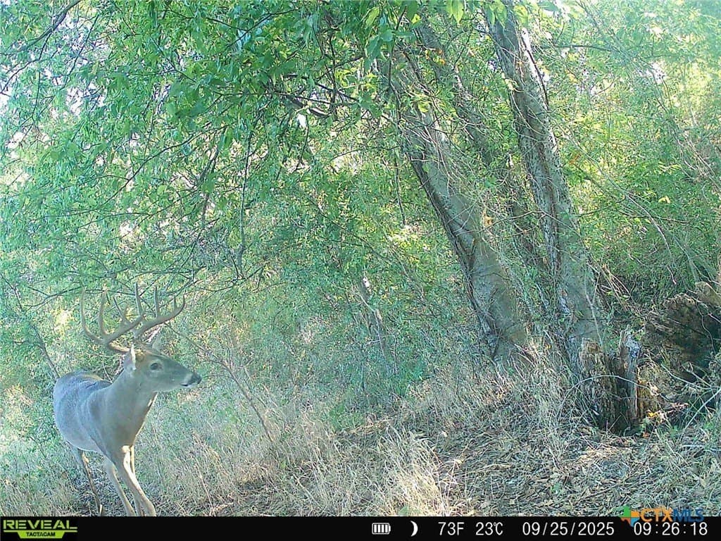 18.94 acres in Milam County - photo 3