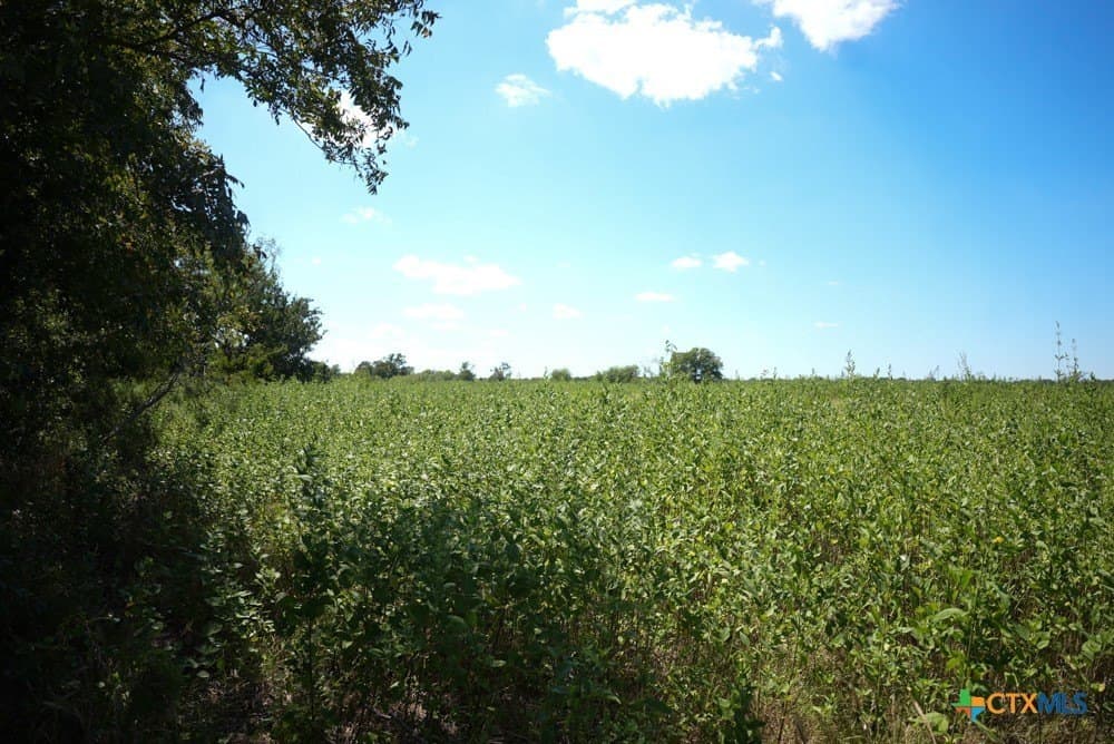 18.94 acres in Milam County - photo 19