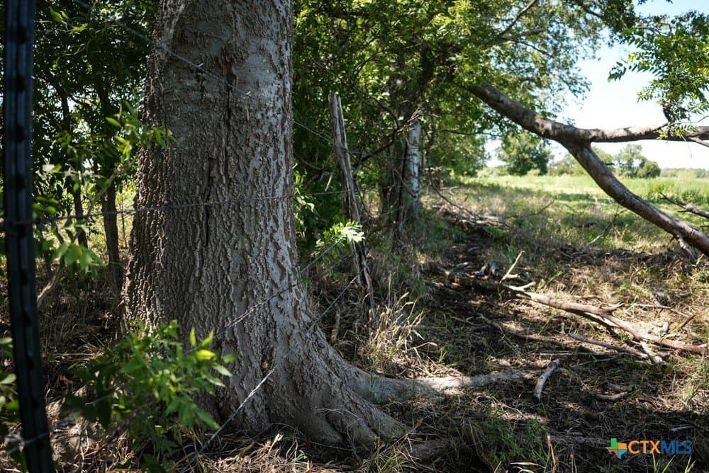 18.94 acres in Milam County - photo 13