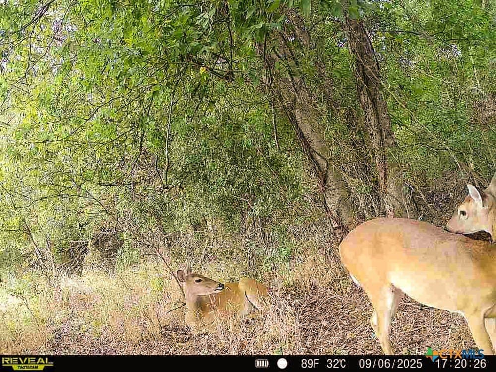 18.94 acres in Milam County - photo 30