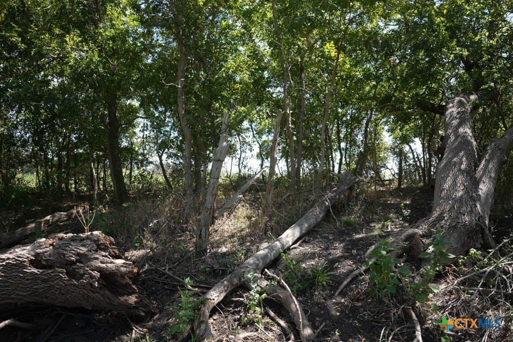 18.94 acres in Milam County - photo 18