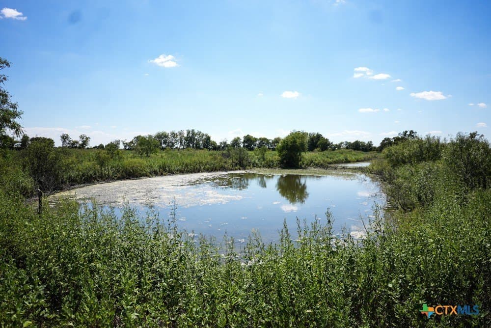 18.94 acres in Milam County - photo 8