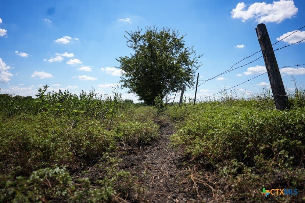 18.94 acres in Milam County - photo 26