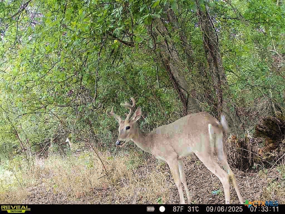 18.94 acres in Milam County - photo 31