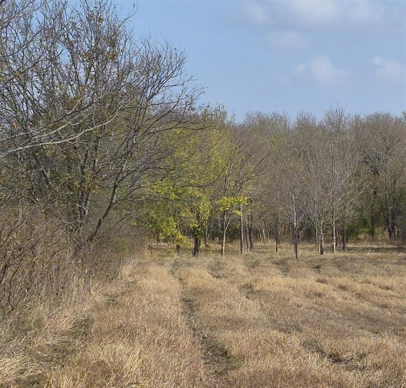 2.99 acres in Ellis County - photo 13