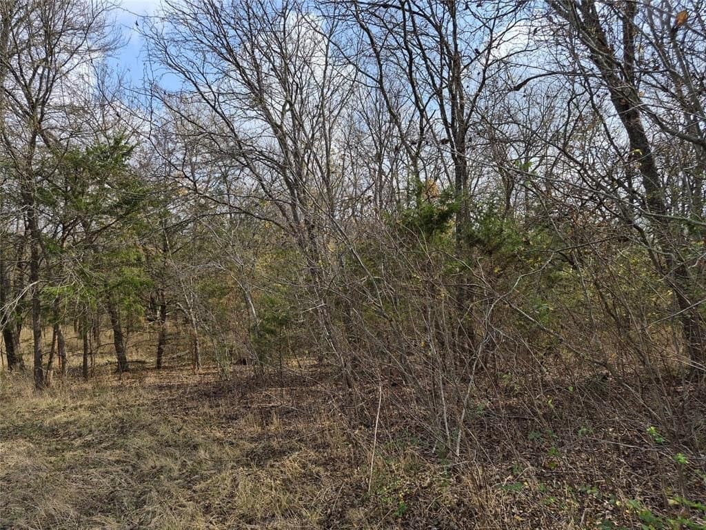 2.99 acres in Ellis County - photo 22
