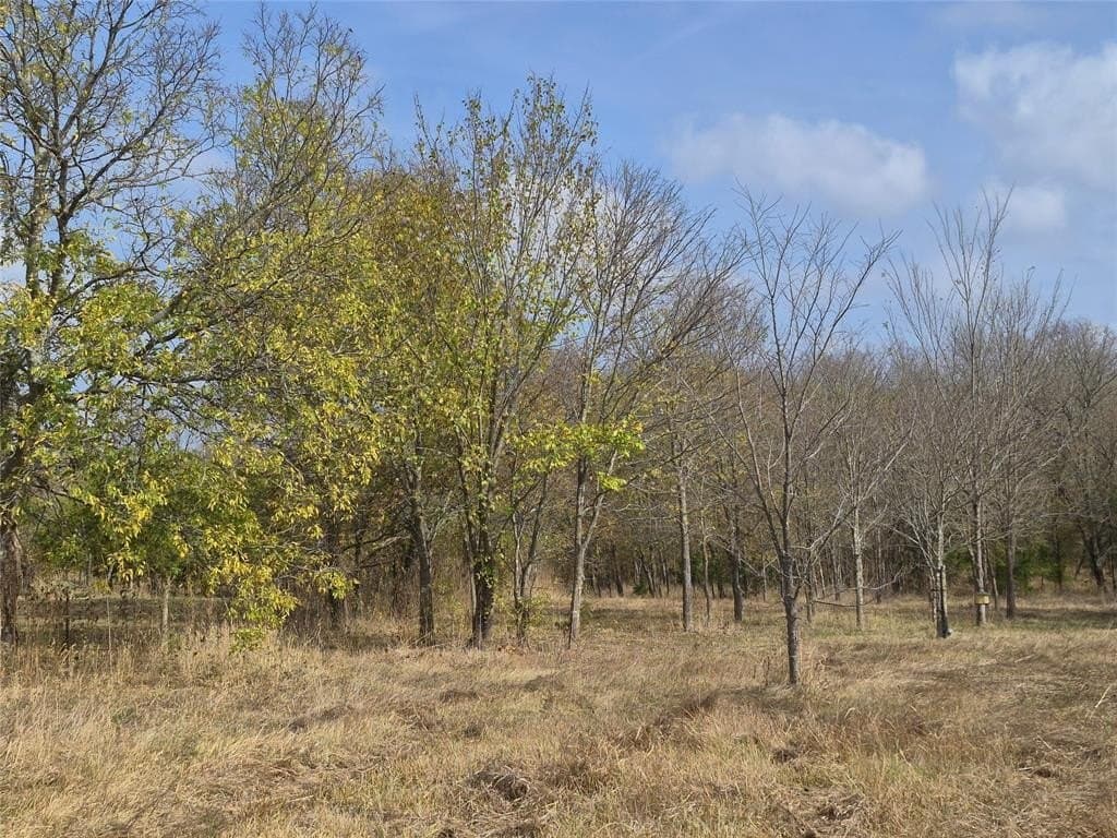 2.99 acres in Ellis County - photo 18