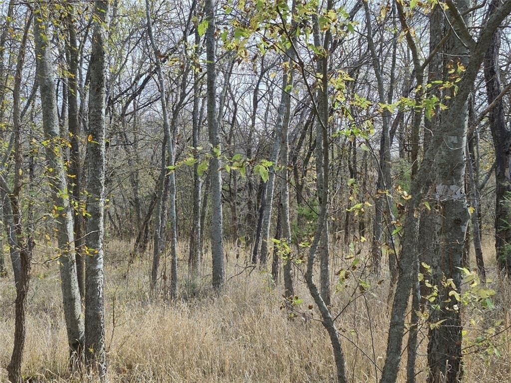 2.99 acres in Ellis County - photo 23