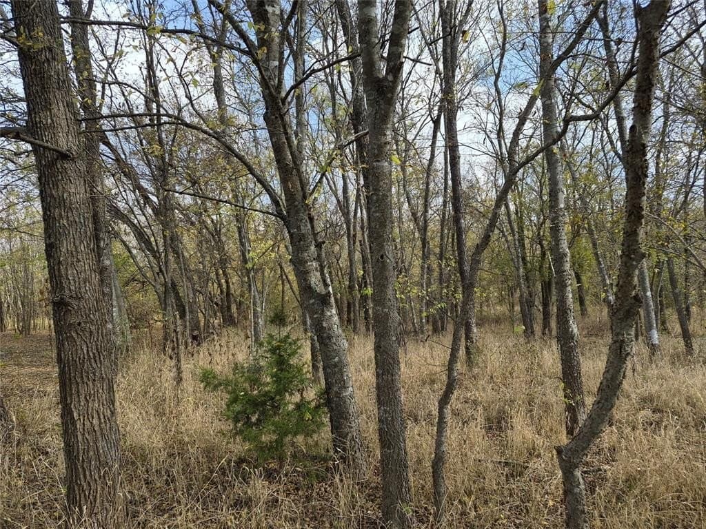 2.99 acres in Ellis County - photo 24