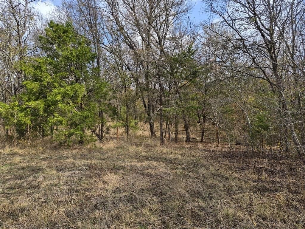 2.99 acres in Ellis County - photo 21