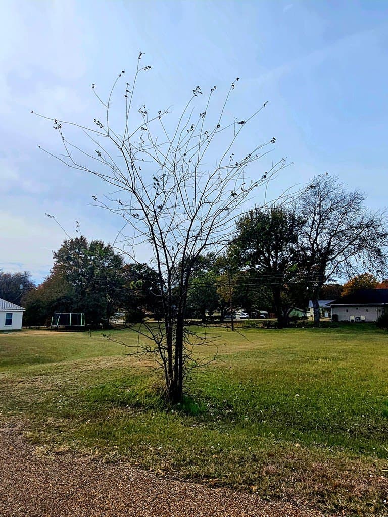 0.12 acres in Henderson County - photo 5