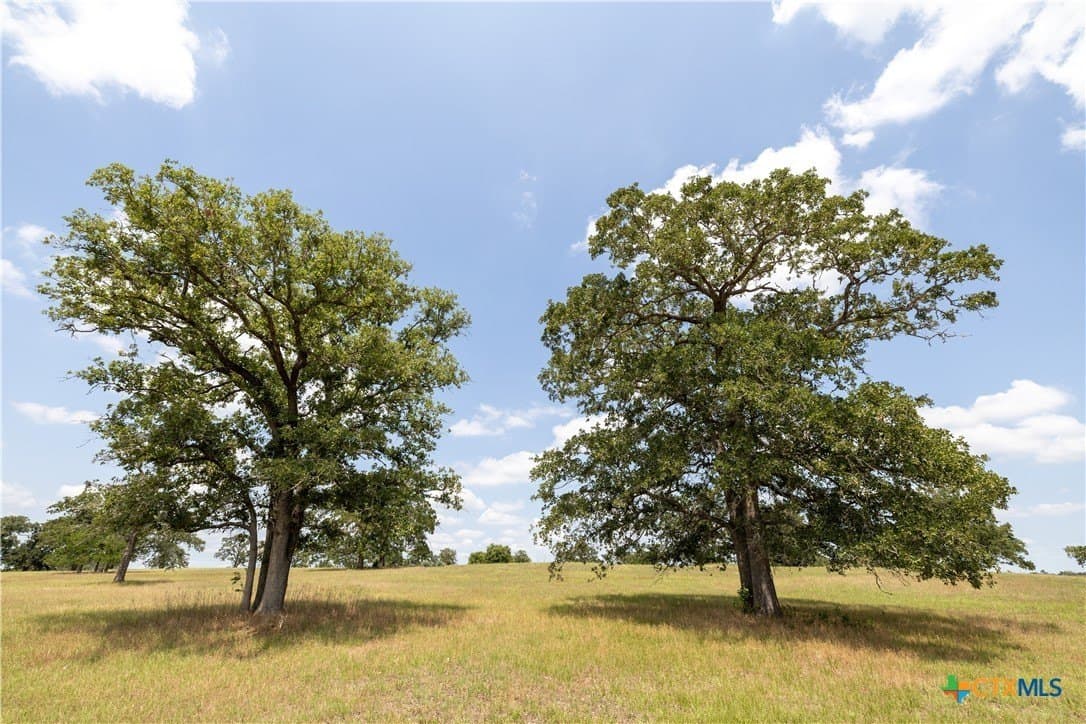 35 acres in Caldwell County - photo 25