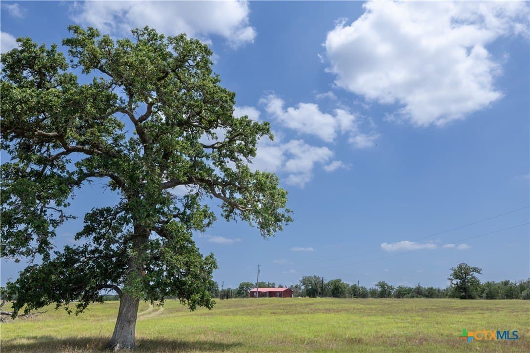 35 acres in Caldwell County - photo 6