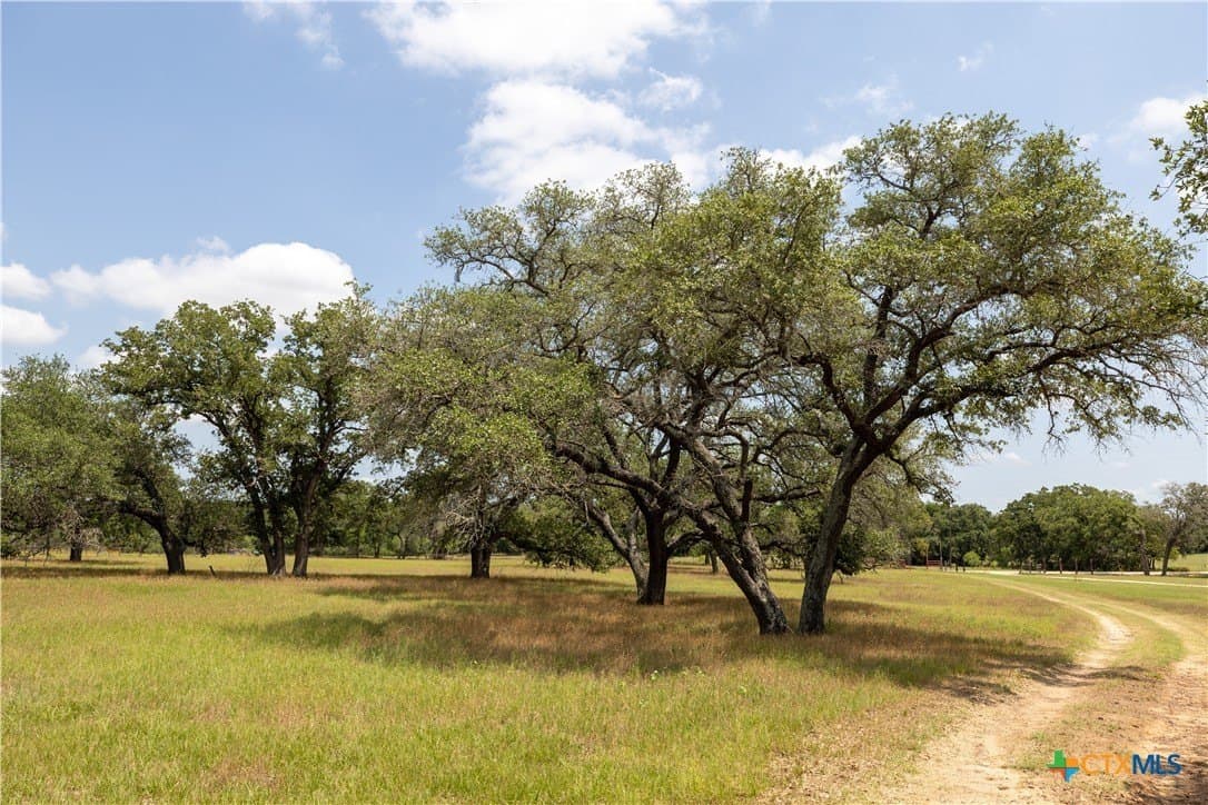 35 acres in Caldwell County - photo 3