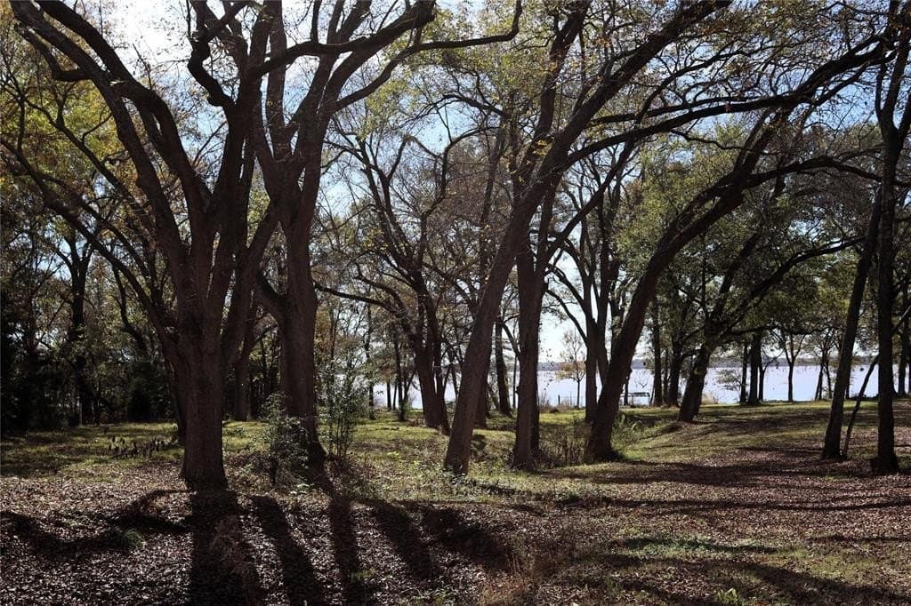 1 acres in Hunt County - photo 8