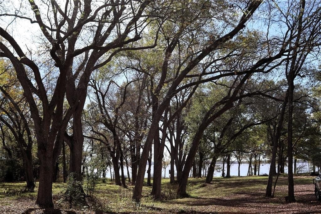 1 acres in Hunt County - photo 7