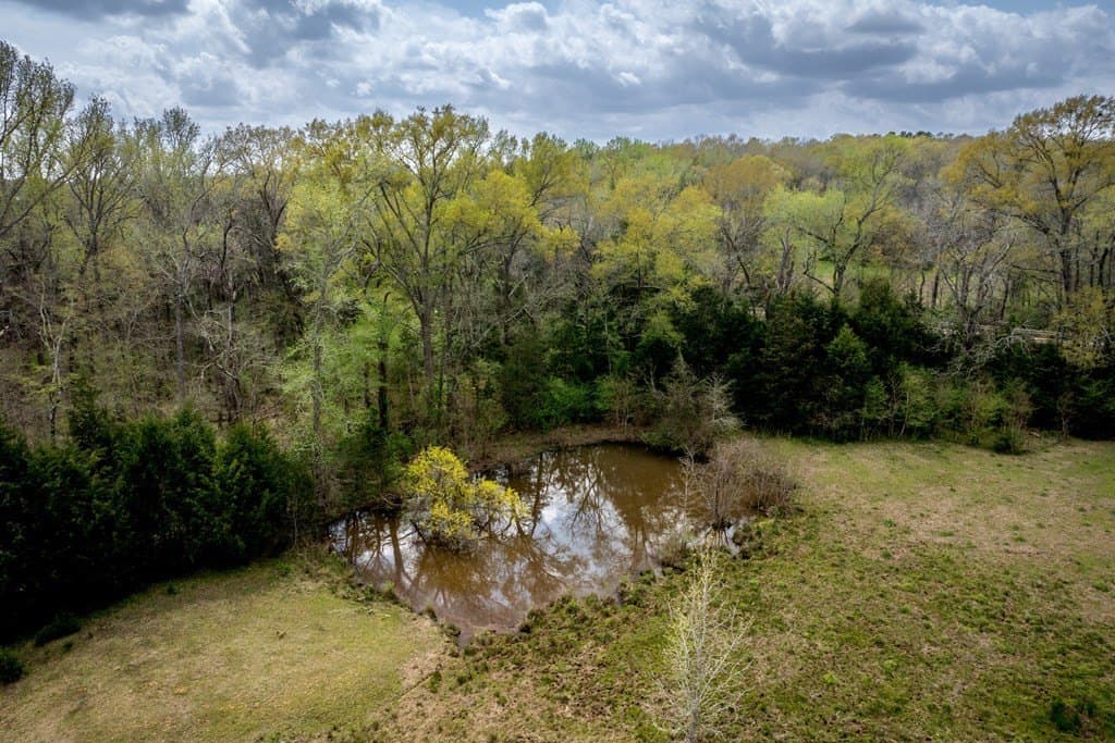 53.02 acres in HOUSTON County - photo 28