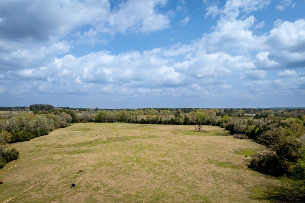 53.02 acres in HOUSTON County - photo 10