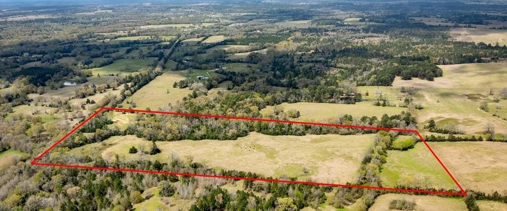 53.02 acres in HOUSTON County - photo 24