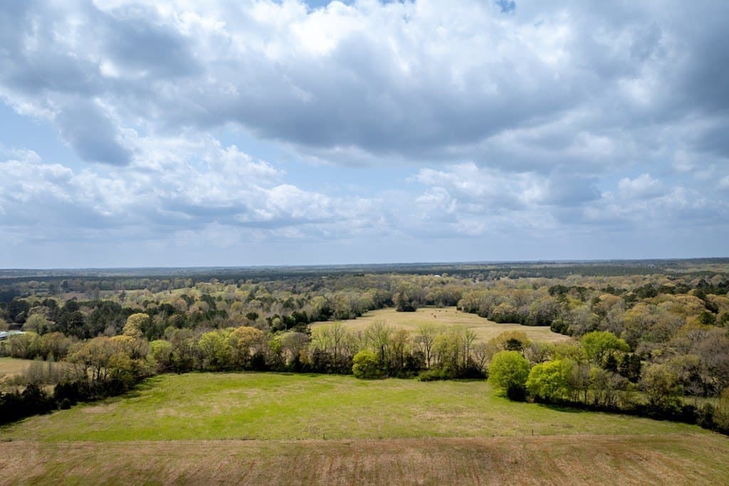 53.02 acres in HOUSTON County - photo 22