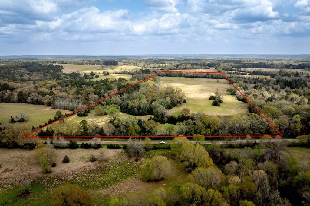 53.02 acres in HOUSTON County - photo 3