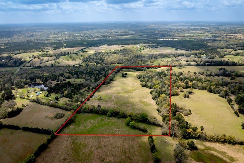 53.02 acres in HOUSTON County - photo 17