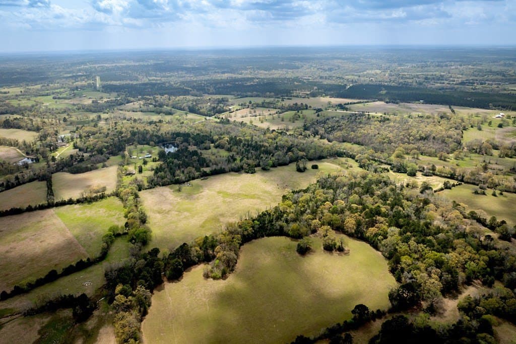53.02 acres in HOUSTON County - photo 14