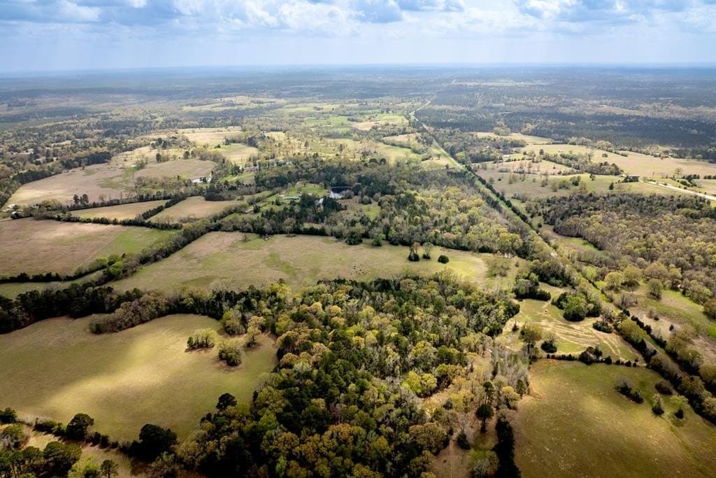 53.02 acres in HOUSTON County - photo 12