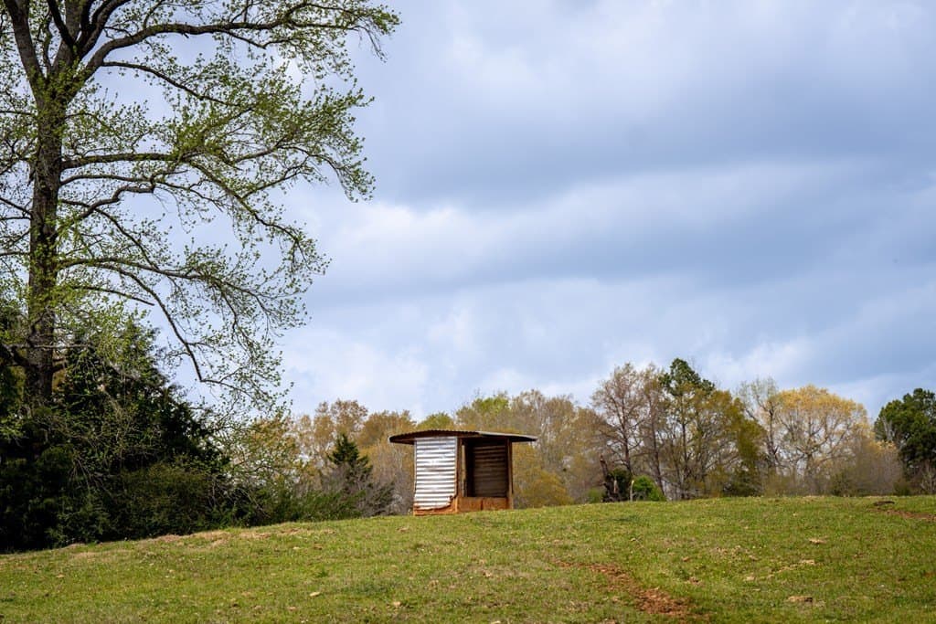 53.02 acres in HOUSTON County - photo 5
