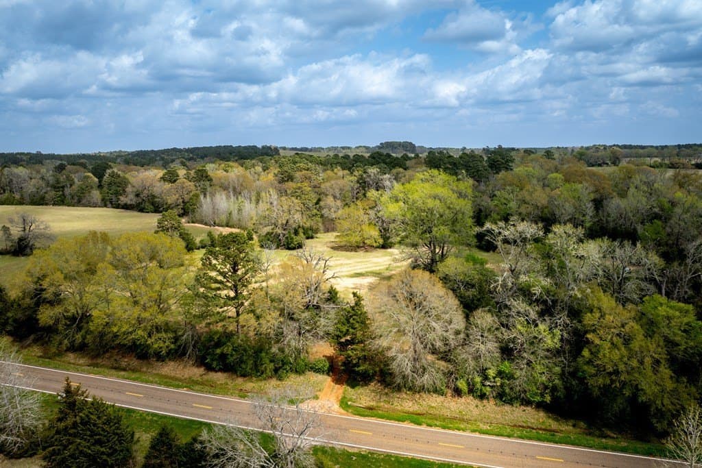 53.02 acres in HOUSTON County - photo 4