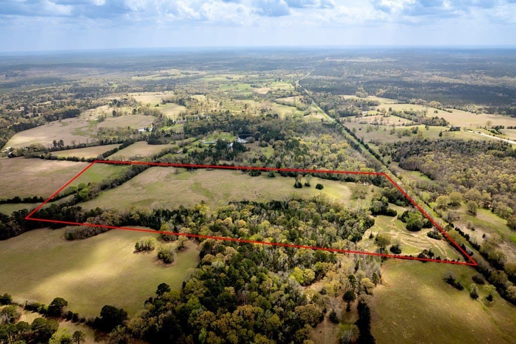 53.02 acres in HOUSTON County - photo 13