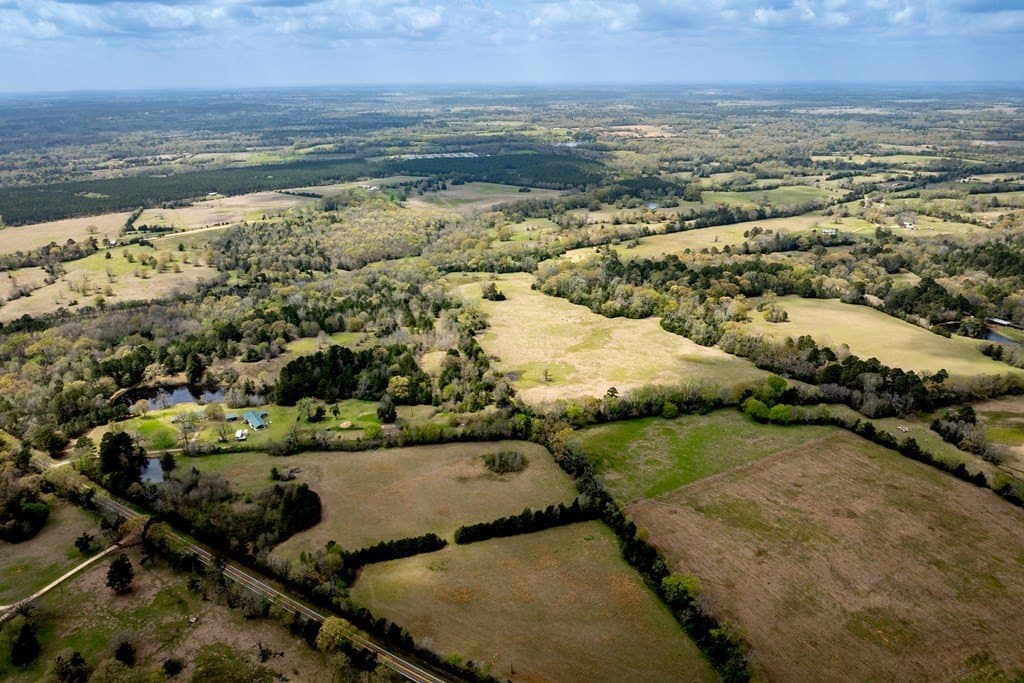 53.02 acres in HOUSTON County - photo 18