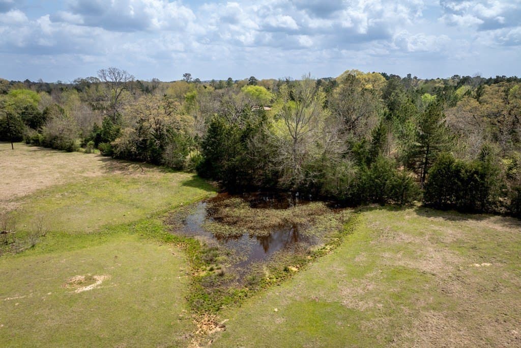 53.02 acres in HOUSTON County - photo 27