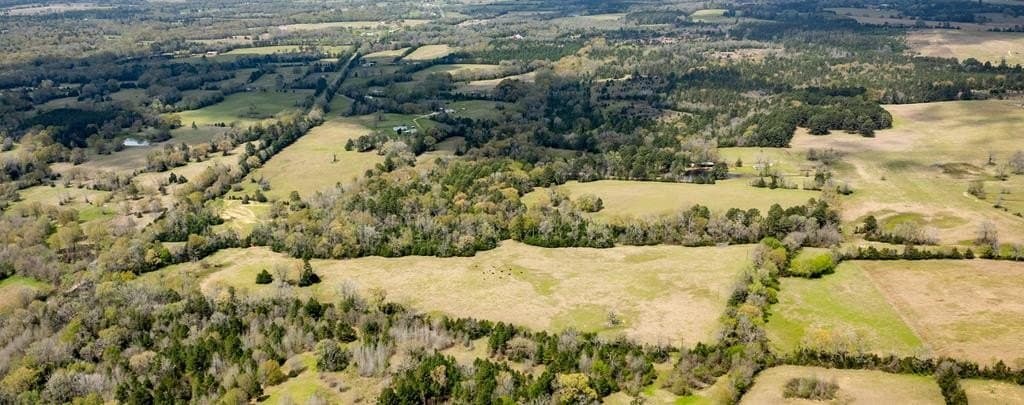 53.02 acres in HOUSTON County - photo 23