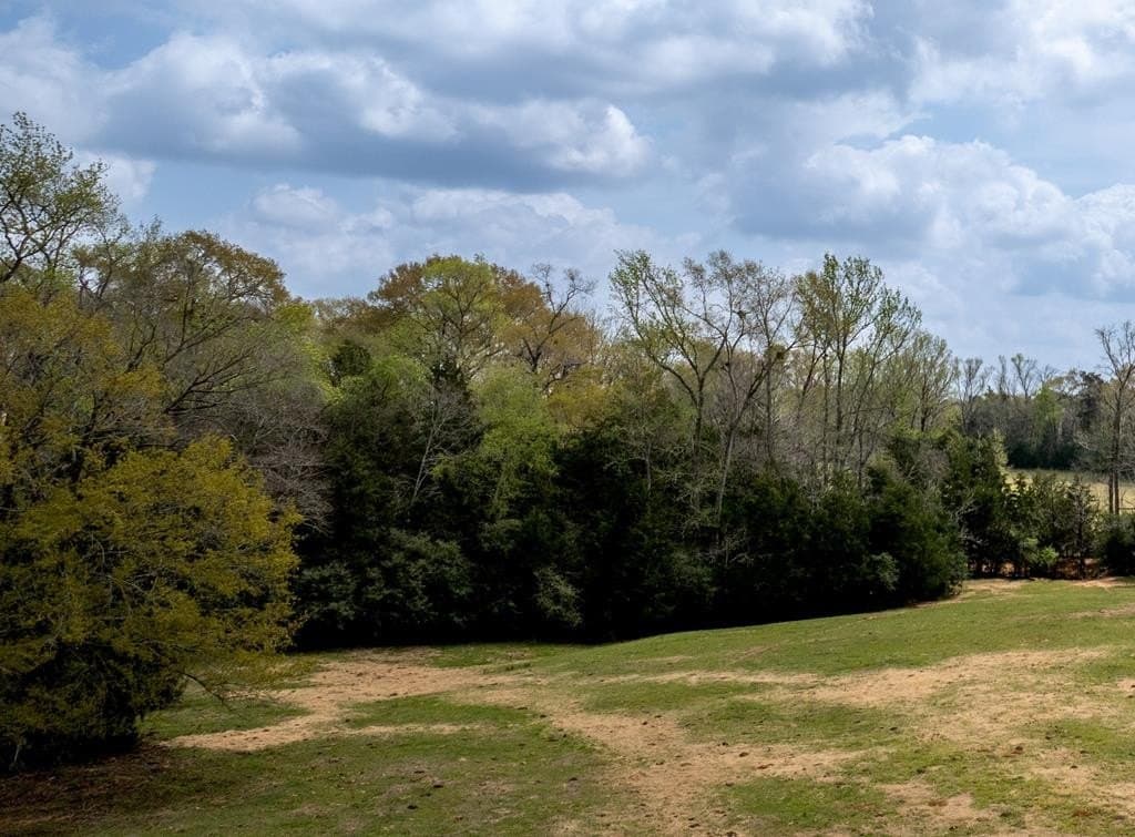 53.02 acres in HOUSTON County - photo 6