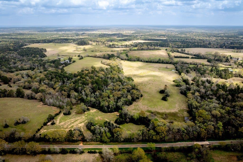 53.02 acres in HOUSTON County - photo 8