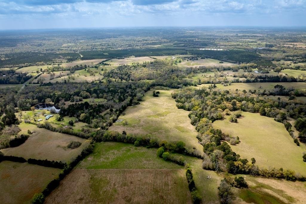 53.02 acres in HOUSTON County - photo 16
