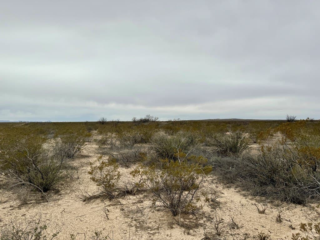 40 acres in Brewster County - photo 6