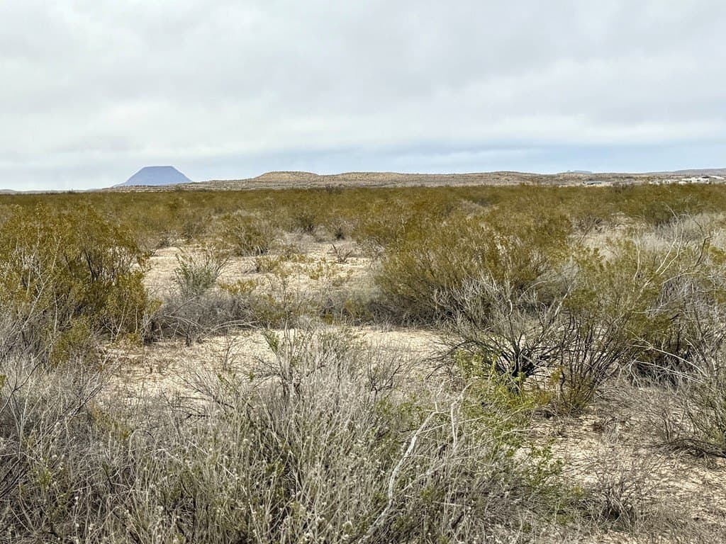 40 acres in Brewster County - photo 7
