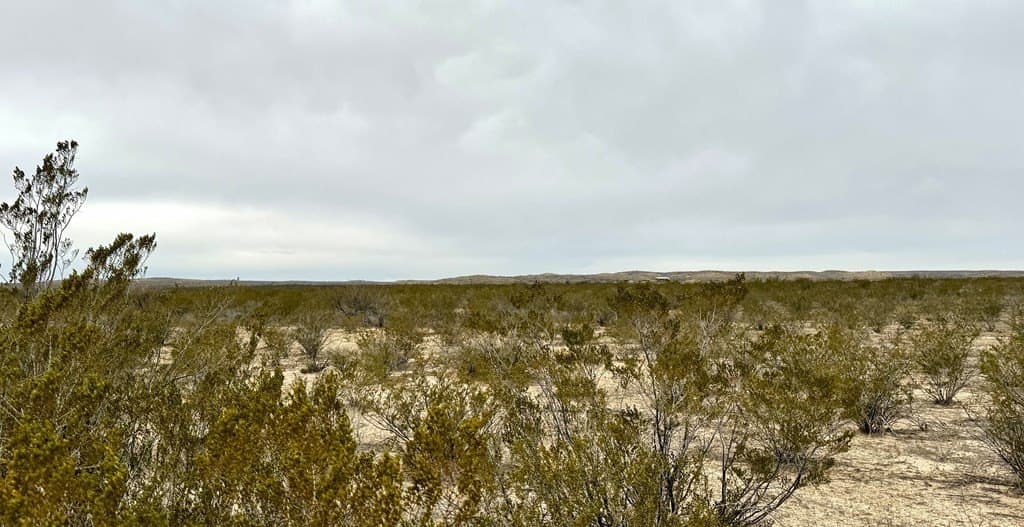 40 acres in Brewster County - photo 5