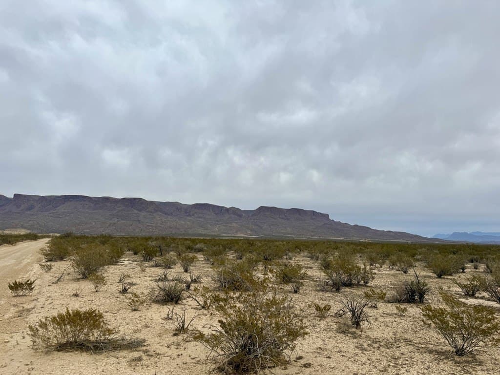40 acres in Brewster County - photo 3