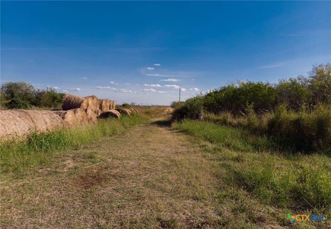 128 acres in Calhoun County - photo 4