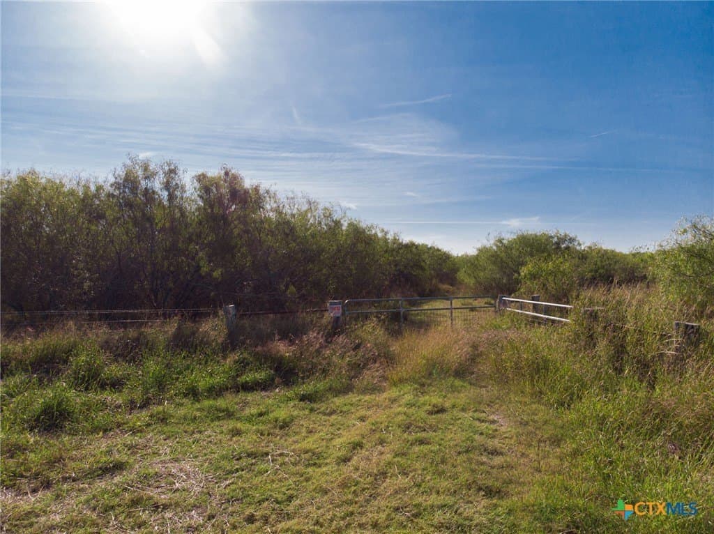 128 acres in Calhoun County - photo 3