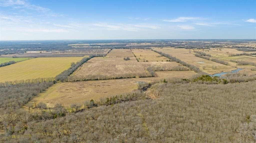 38.96 acres in Lamar County - photo 12