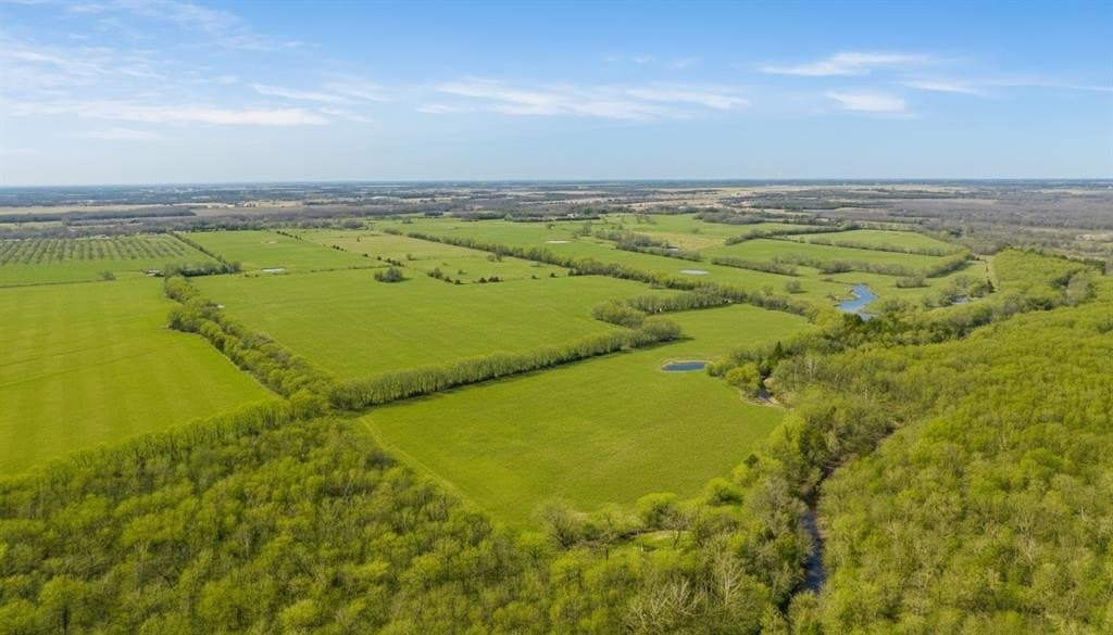 38.96 acres in Lamar County - photo 8