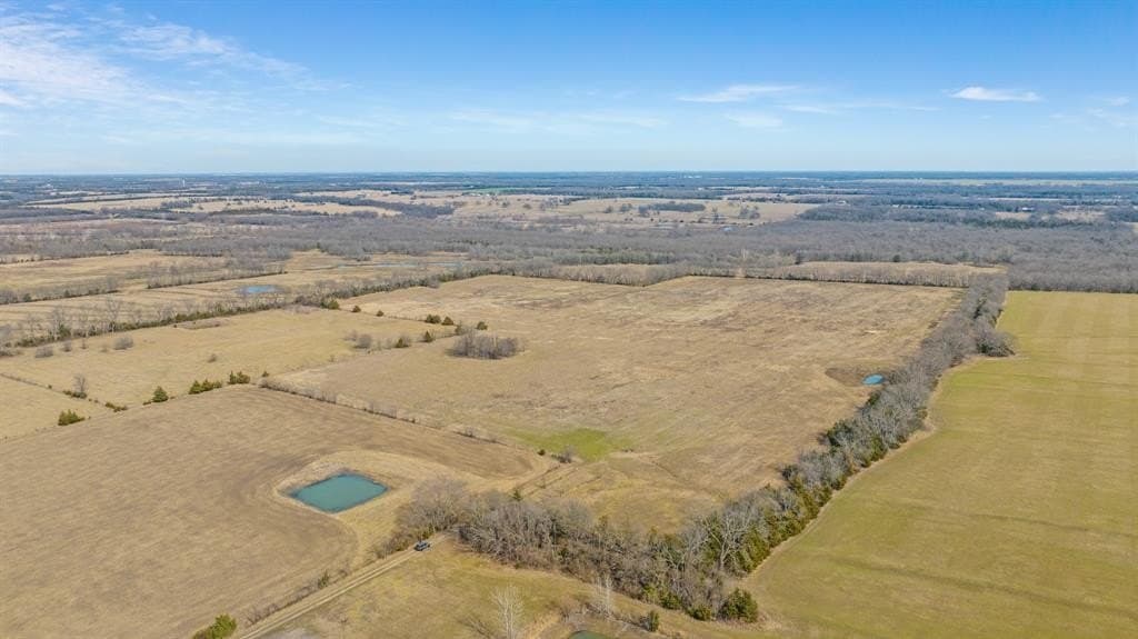 38.96 acres in Lamar County - photo 10