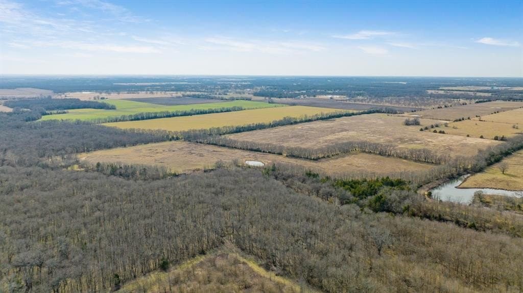 38.96 acres in Lamar County - photo 13