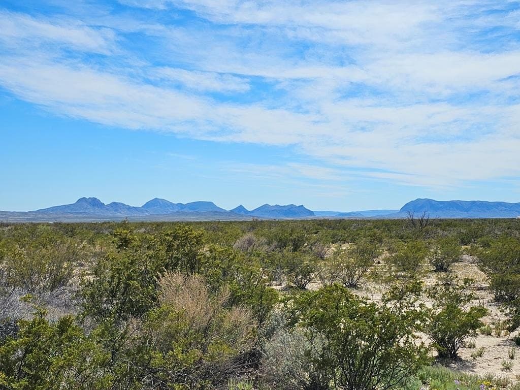 30 acres in Brewster County - photo 3